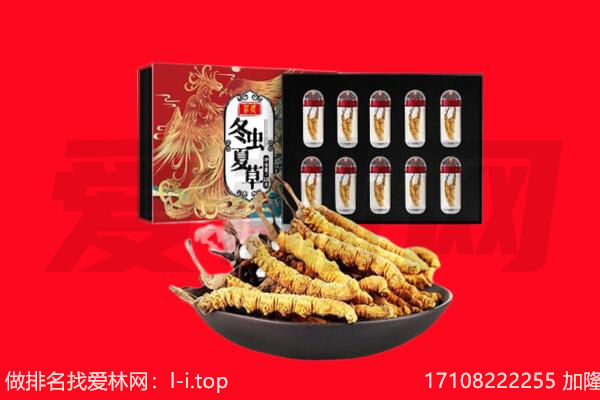 太康县回收虫草.jpg